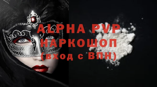 прущие грибы Магадан