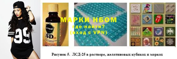прущие грибы Магадан