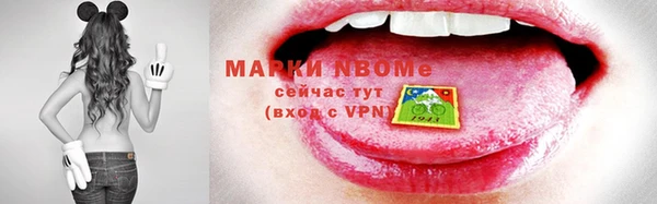 прущие грибы Магадан