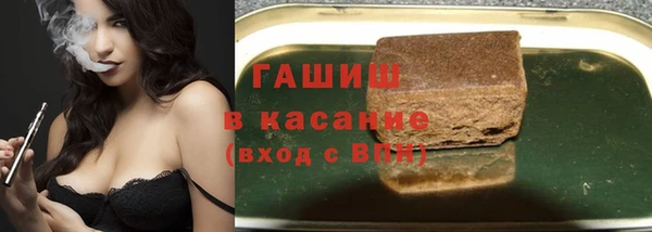 прущие грибы Магадан