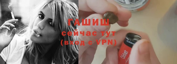 прущие грибы Магадан
