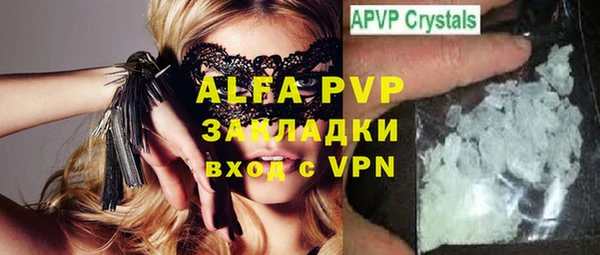 прущие грибы Магадан