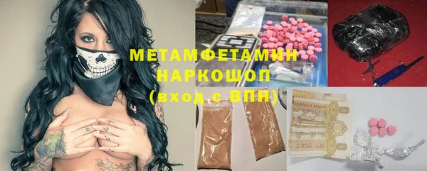 прущие грибы Магадан