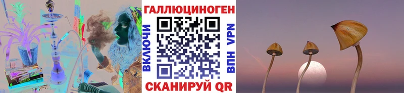 Галлюциногенные грибы мицелий  OMG вход  Далматово 